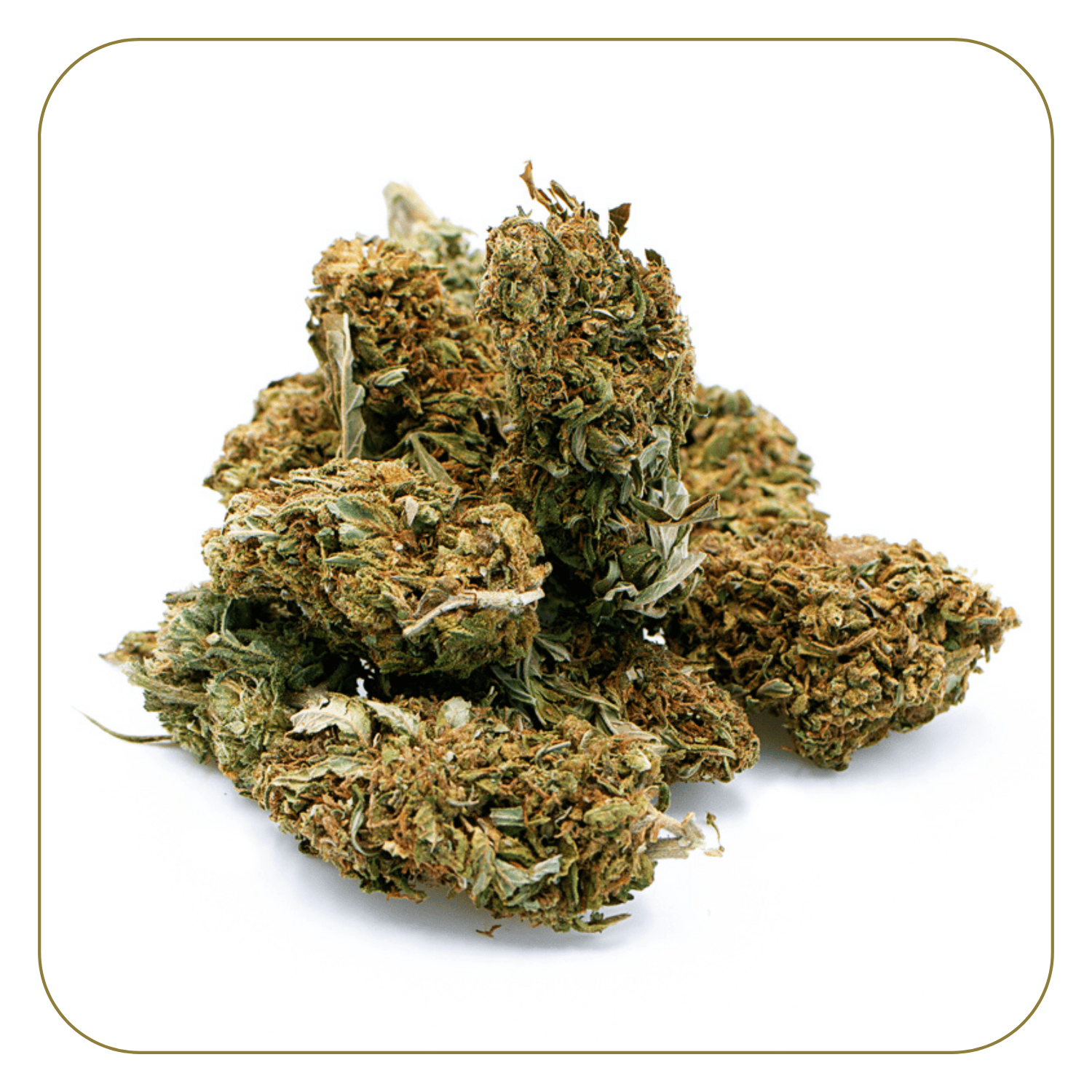 tête de Fleur de CBD Jack Herrer Outdoor – La CBDIÈRE