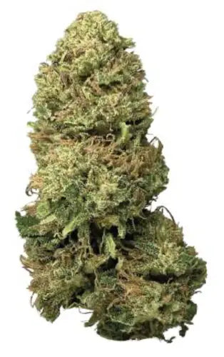 Les Fleurs de CBD : Un Bien-Être Naturel avec La CBDière - La CBDière