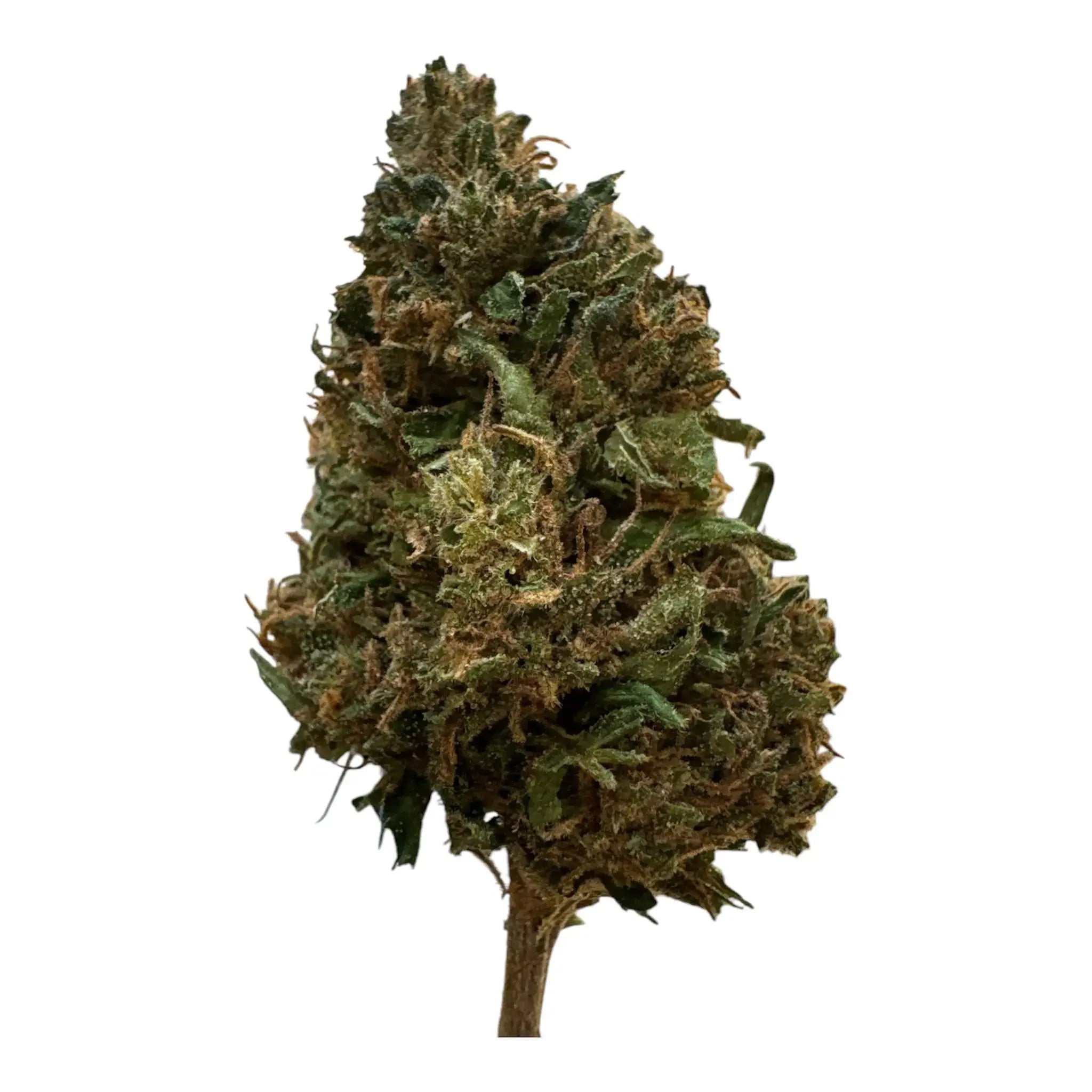 Fleur de CBD Orange Bud FRANCE