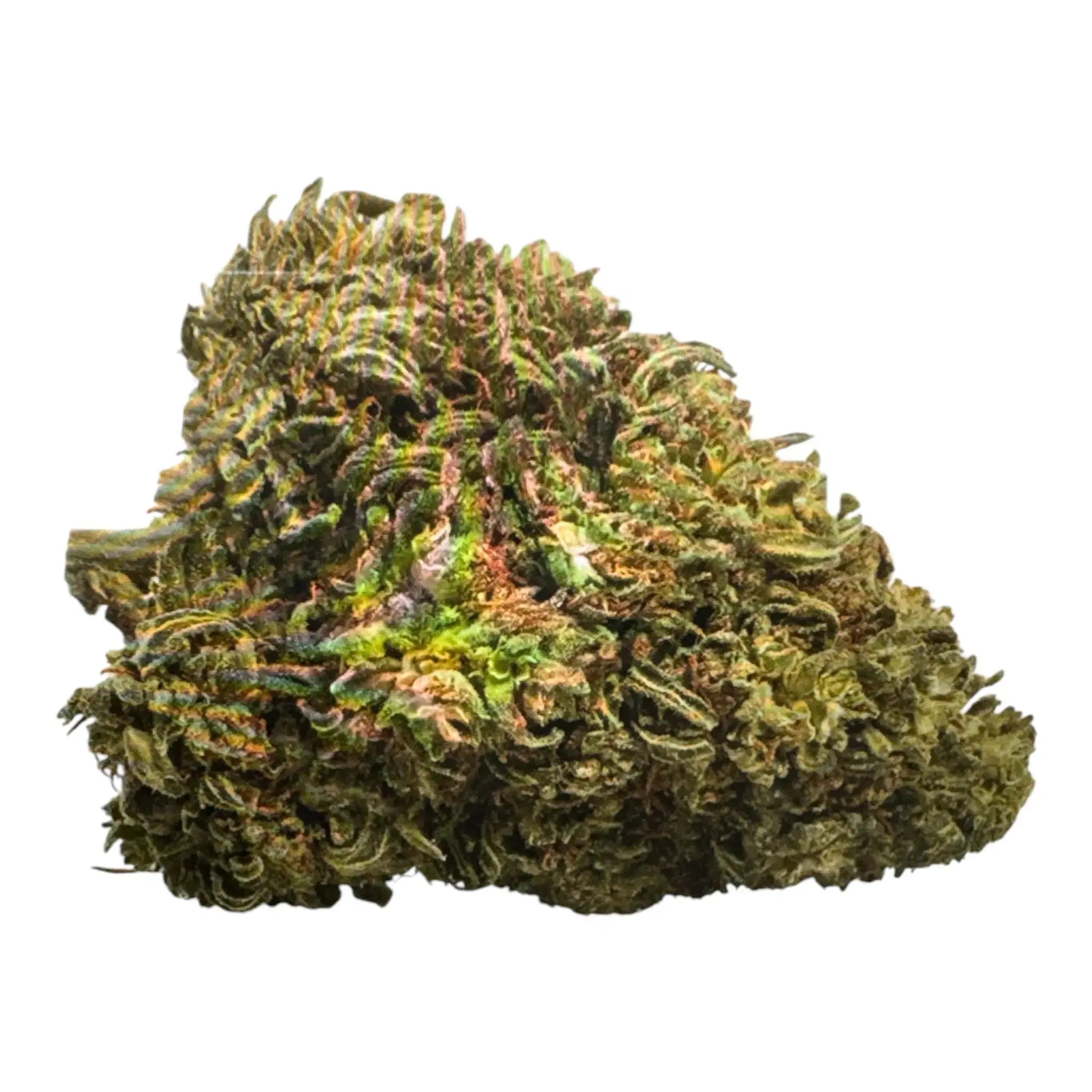 Fleur de CBD AK47 Greenhouse – LA CBDIÈRE – Premium